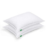 Fern and Willow Premium Loft Down Alternative Pillows for Sleeping (2-Pack) - Luxury Gel Plush Pillow - Hypoallergenic & Dust Mite Resistant (Queen)